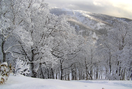 ルスツの雪景色